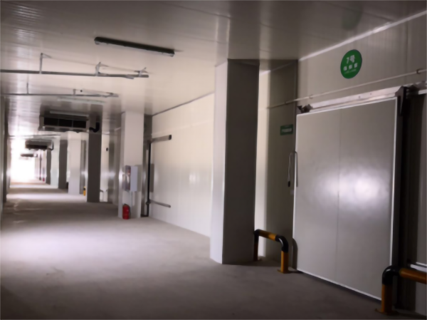 建一個5000立方香蕉冷藏冷庫大概要多少錢？