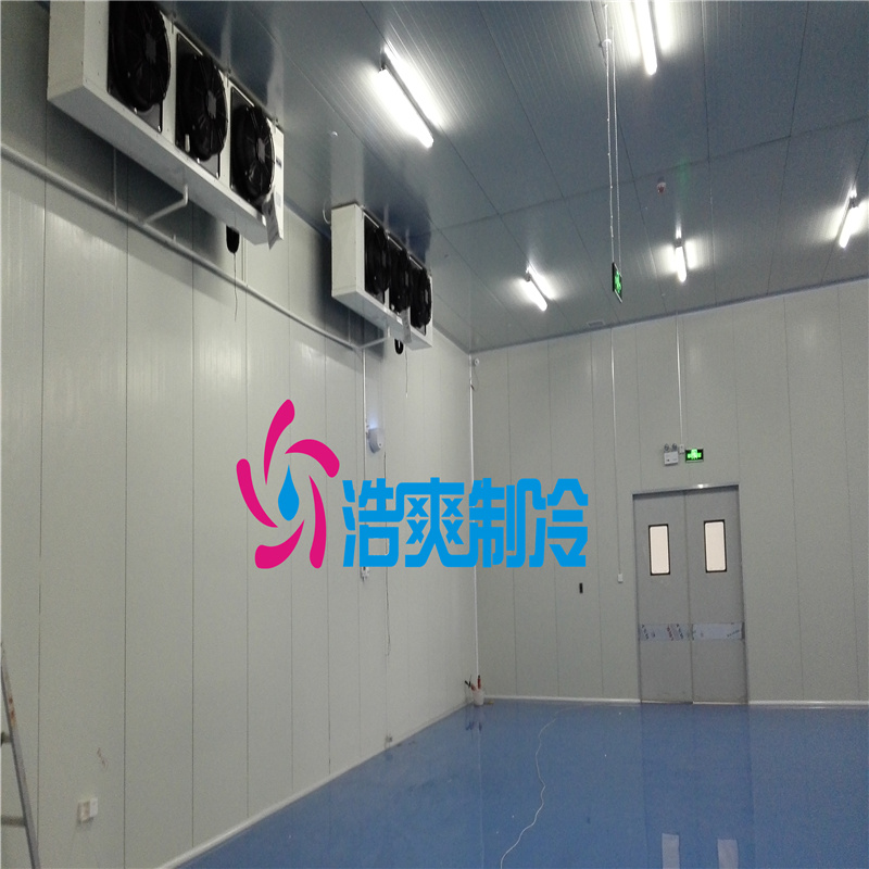 藥劑冷庫(kù)專(zhuān)業(yè)設(shè)計(jì)安裝 藥劑冷庫(kù)專(zhuān)業(yè)設(shè)計(jì)安裝