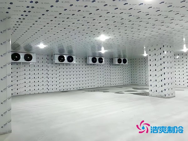 100平方冷凍庫設計安裝造價多少錢？