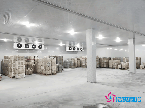 100平方米食品冷庫造價的詳細解析及專業建議