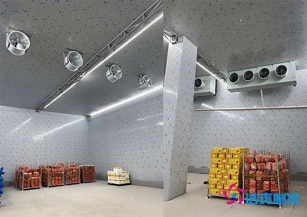 1000噸果蔬保鮮庫造價揭秘,節(jié)省成本就靠這幾點!