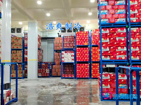 500平果蔬冷庫造價曝光！35萬起建，省錢秘訣在這里！