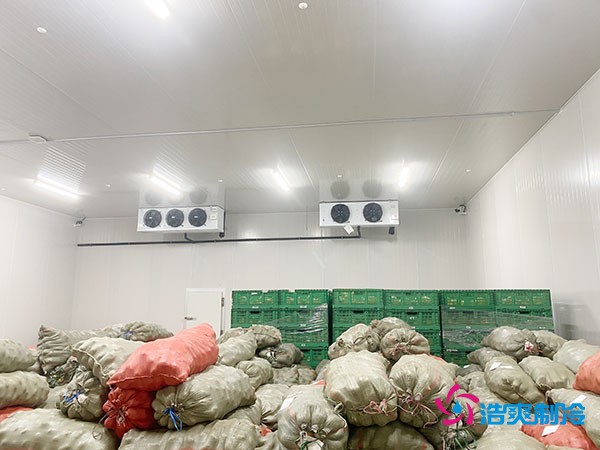 500平果蔬冷庫造價曝光！35萬起建，省錢秘訣在這里！