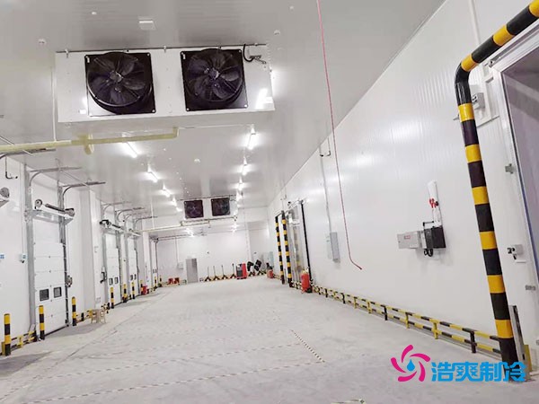 冷庫造價(jià)懸殊?揭秘每平米價(jià)格背后的秘密!