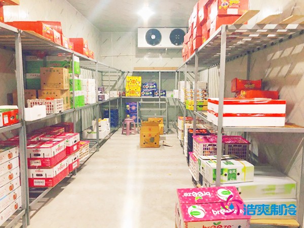 5噸水果需要多大冷庫？答案出乎意料！