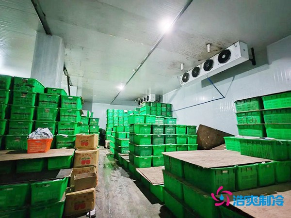 水果保鮮冷庫建造價格每平米多少錢？