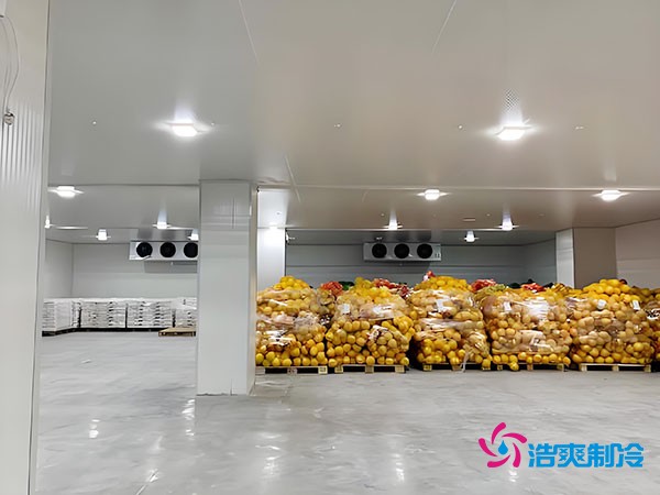 20噸玉米如何長期保鮮？冷庫造價(jià)大揭秘！