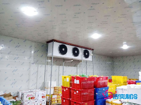 水果冷庫造價