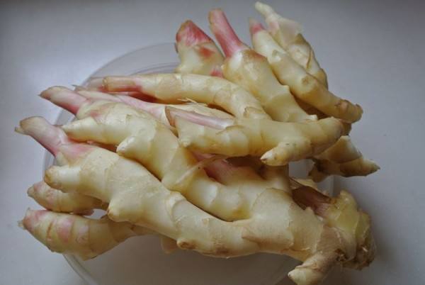 3000噸鮮姜冷庫(kù)前期規(guī)劃,冷庫(kù)造價(jià)預(yù)算多少