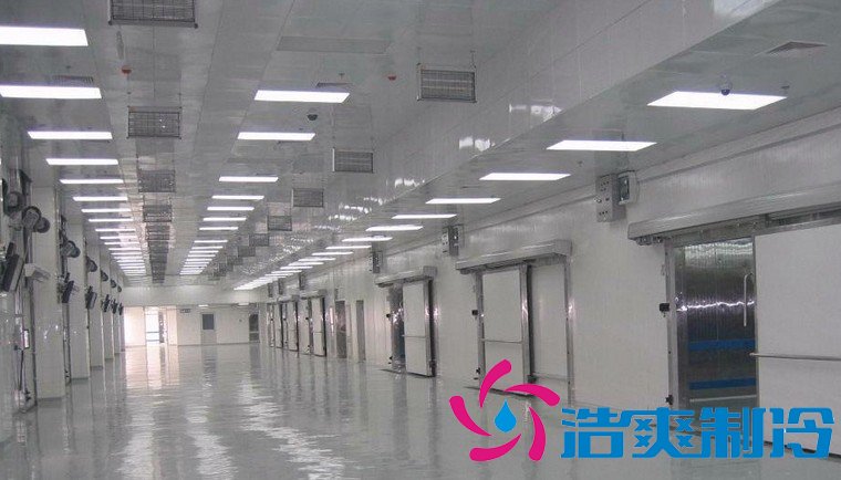 食品廠建20000平米生鮮食品物流冷庫，冷庫設計安裝造價