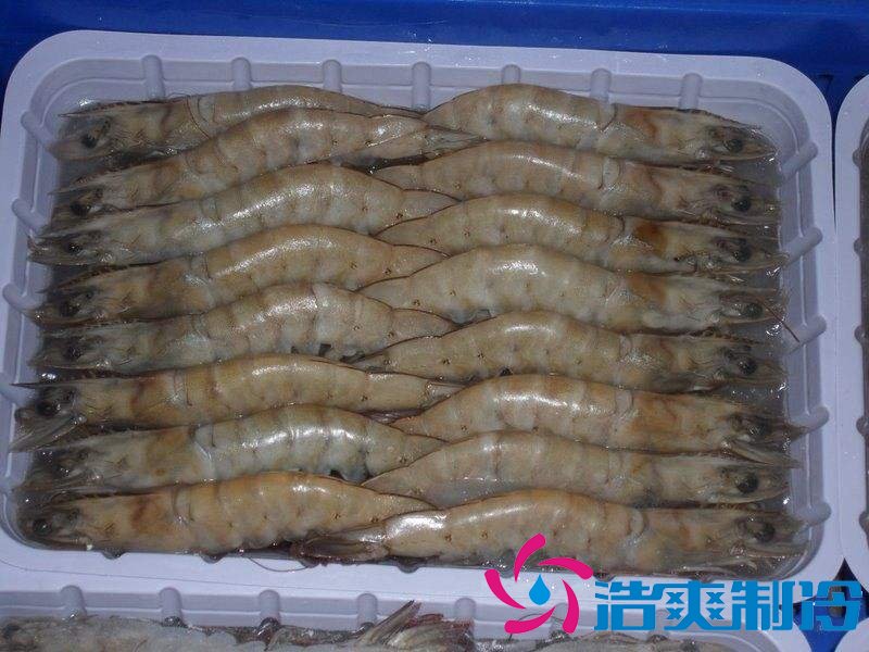 -18℃~-25℃冷凍食品低溫倉儲(chǔ)設(shè)備安裝費(fèi)用多少錢
